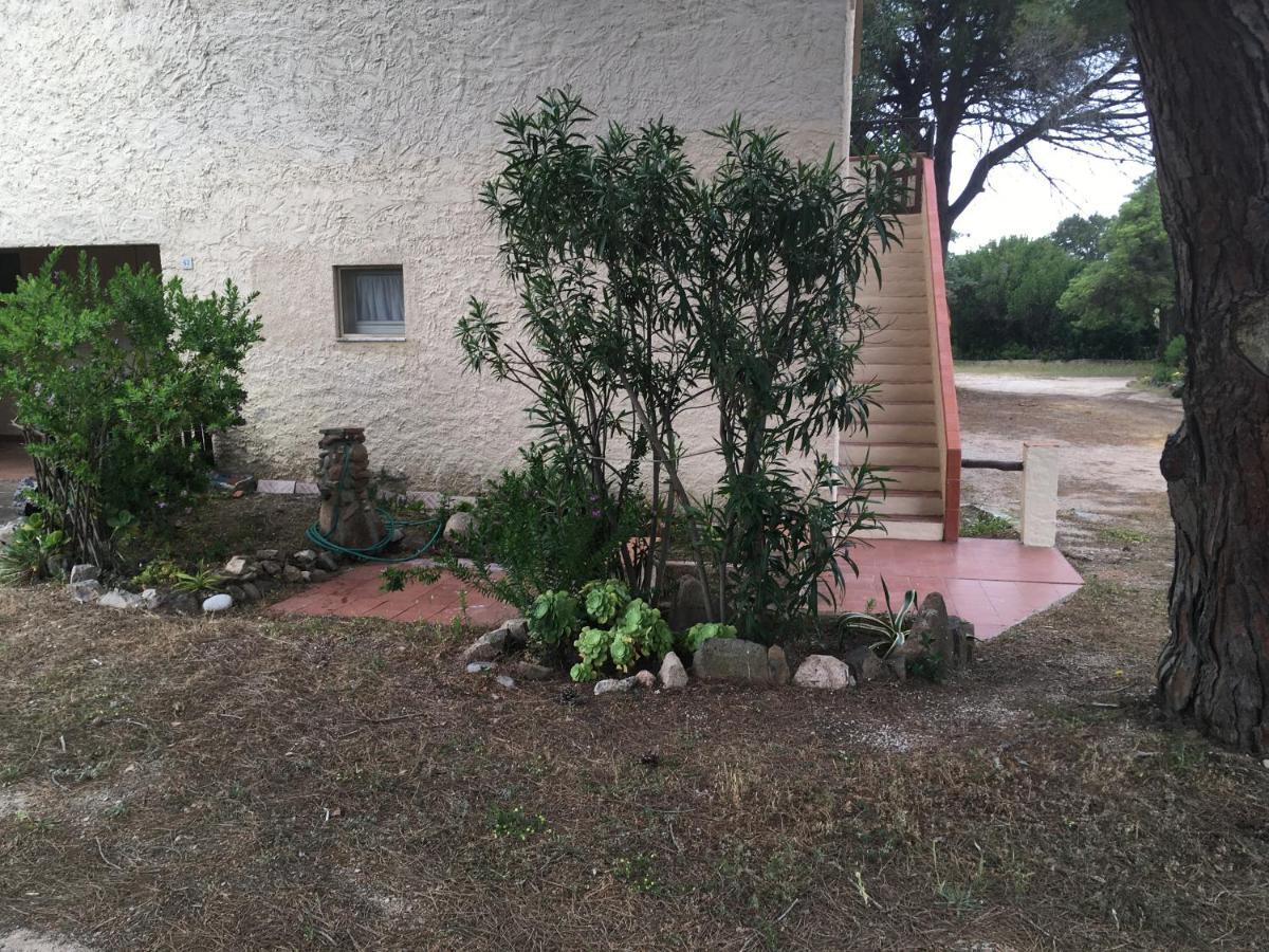 Monolocale A Rena Majore Di Gallura Εξωτερικό φωτογραφία